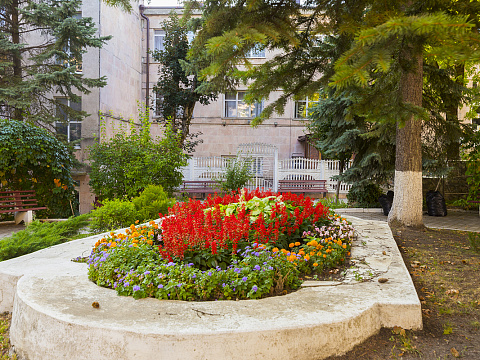 Санаторий «Здоровье» г. Железноводск. Территория